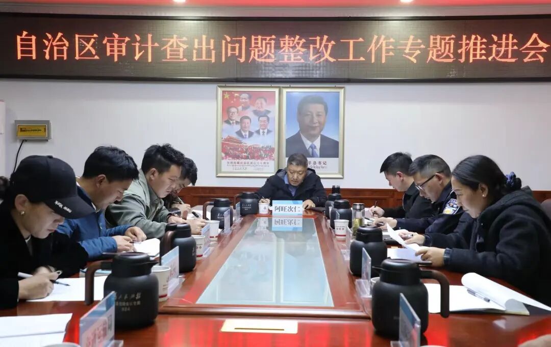 索县召开自治区审计查出问题整改工作专题推进会议